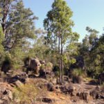 A national park in Western Australia