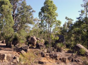 A national park in Western Australia